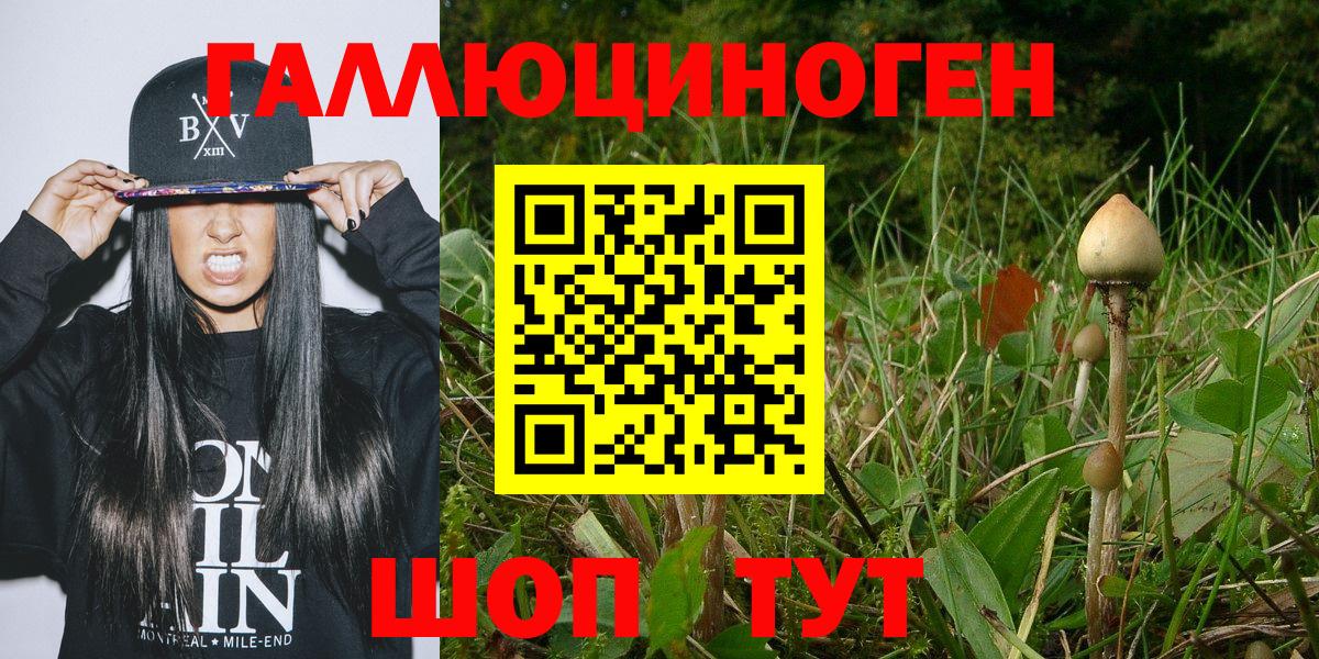Галлюциногенные грибы мицелий  Вход с VPN  купить наркотики цена  Обнинск 