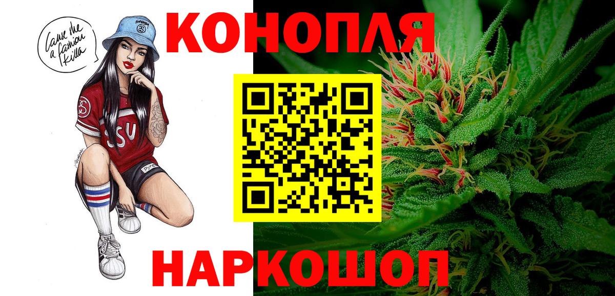 Канабис OG Kush Обнинск